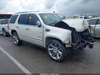  Salvage Cadillac Escalade