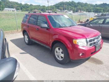  Salvage Ford Escape