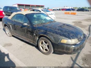  Salvage Ford Mustang