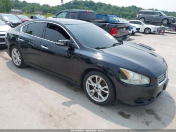  Salvage Nissan Maxima