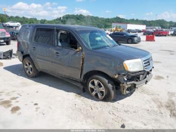  Salvage Honda Pilot