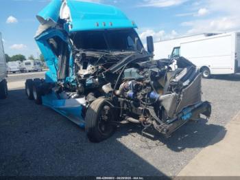  Salvage Freightliner Cascadia 125