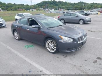  Salvage Nissan Maxima
