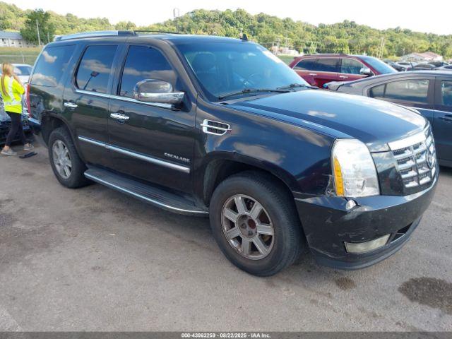  Salvage Cadillac Escalade