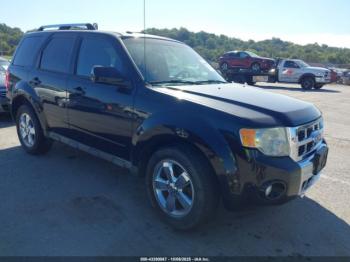  Salvage Ford Escape