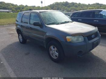  Salvage Ford Escape