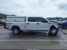 Ford F-150 Xl Image 14