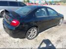 Dodge Srt4 Image 8