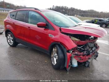  Salvage Ford Escape