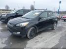 Ford Escape Titanium Image 9