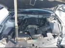 Ford Mustang Gt Image 12