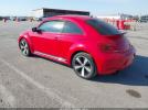 Volkswagen Beetle Image 11