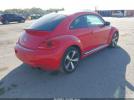 Volkswagen Beetle Image 4