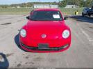 Volkswagen Beetle Image 5