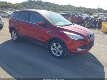  Salvage Ford Escape