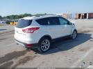 Ford Escape Titanium Image 7