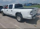 Dodge Dakota Image 4