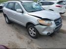 Hyundai SANTA FE Gls Image 1