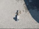 Ford Fusion Sel Image 11