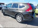 Honda CR-V Ex-l Image 16