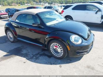  Salvage Volkswagen Beetle