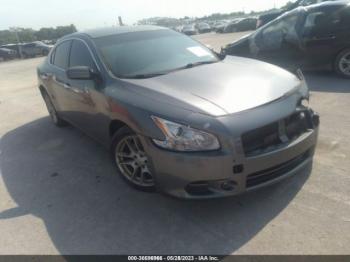  Salvage Nissan Maxima
