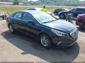  Salvage Hyundai SONATA