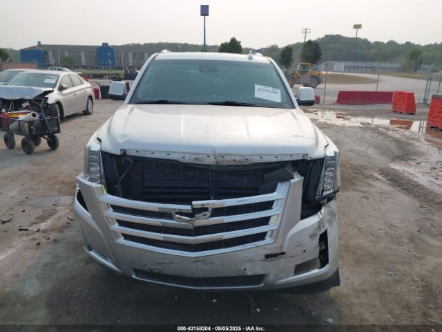 Cadillac Escalade Luxury Image 12