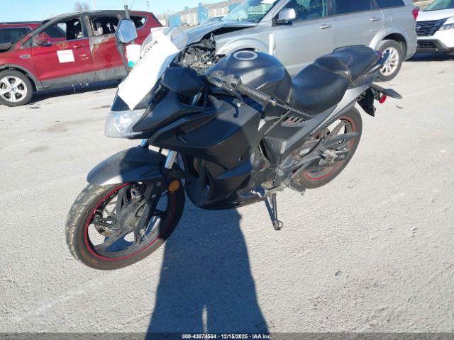 American Custom Image 16