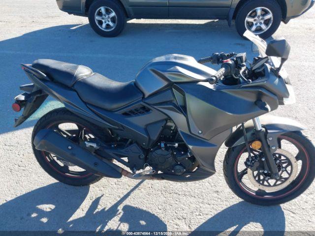 American Custom Image 7