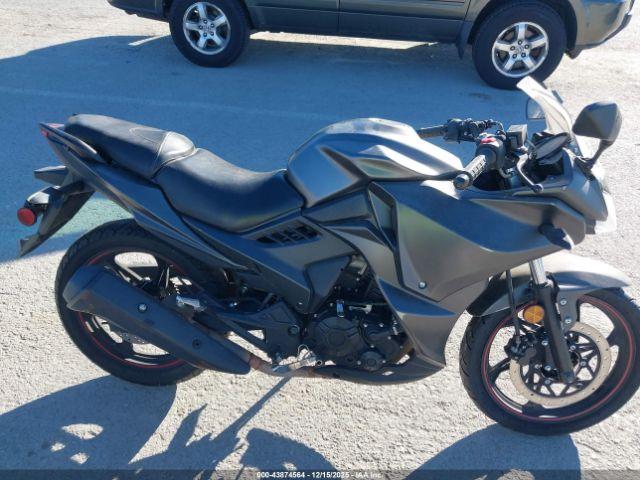 American Custom Image 5