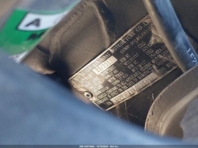 American Custom Image 14