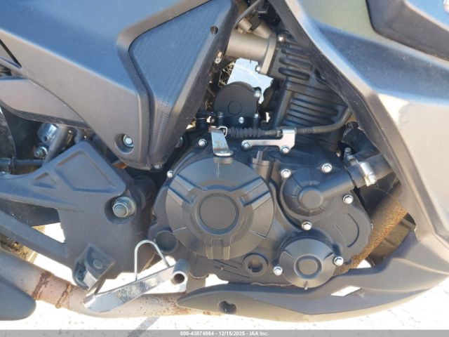 American Custom Image 12