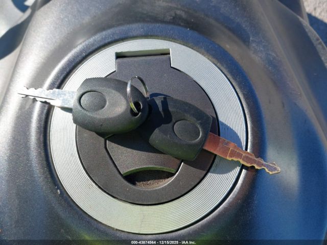 American Custom Image 6