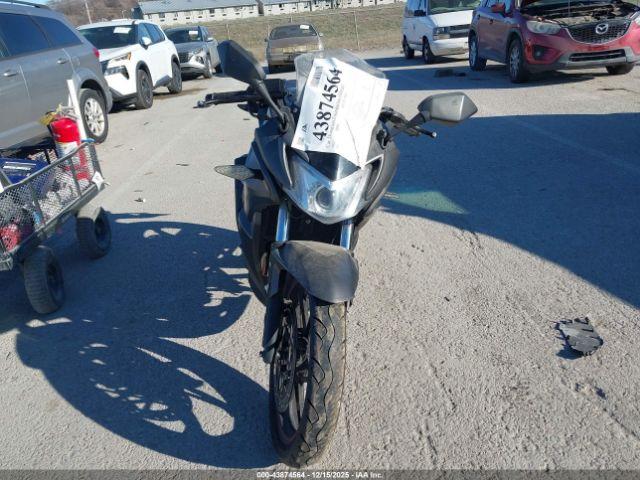 American Custom Image 8