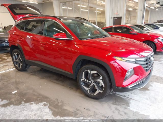 Hyundai TUCSON Limited Image 1