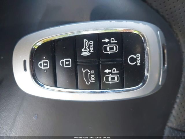 Hyundai PALISADE Calligraphy Image 4