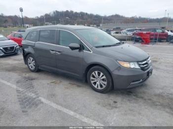  Salvage Honda Odyssey
