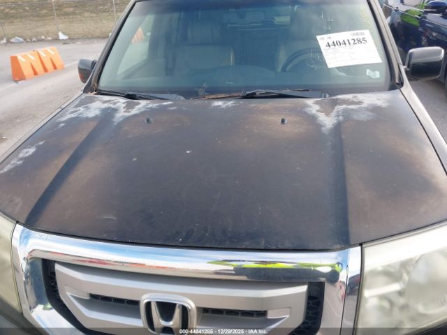 Honda Pilot Ex-l Image 6