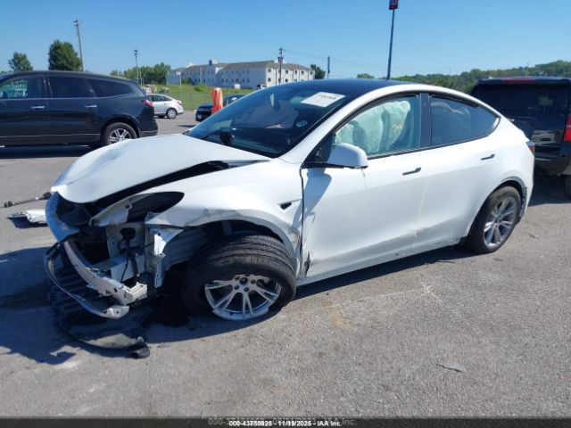 Tesla Model Y Image 7