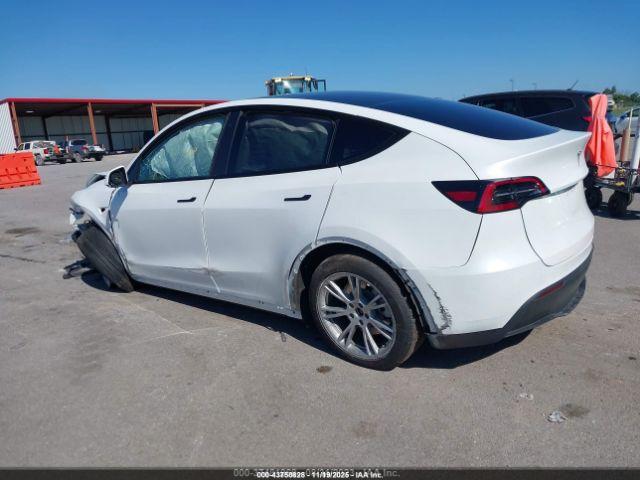 Tesla Model Y Image 2