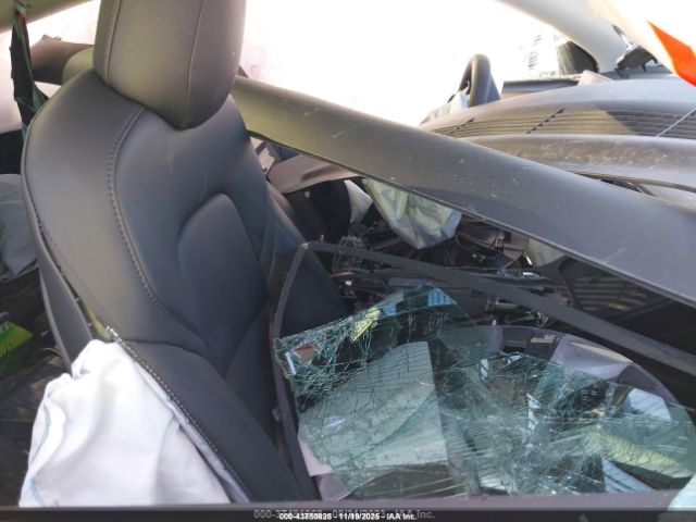 Tesla Model Y Image 4