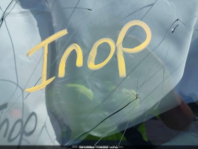 Tesla Model Y Image 5