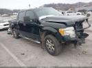 Ford F-150 Xlt Image 1