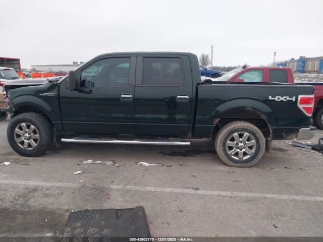 Ford F-150 Xlt Image 12