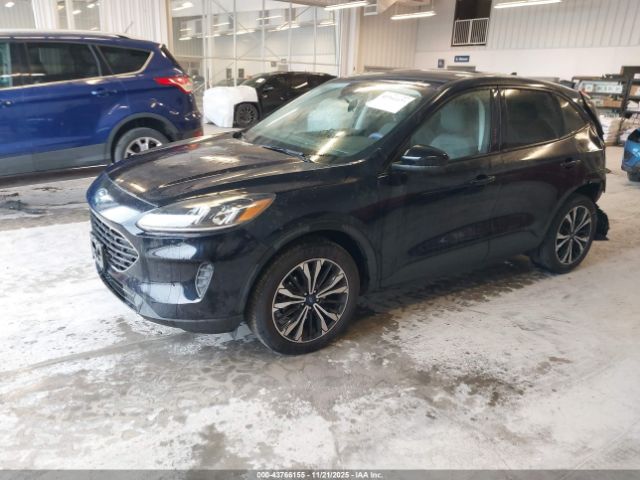 Ford Escape Se Image 3