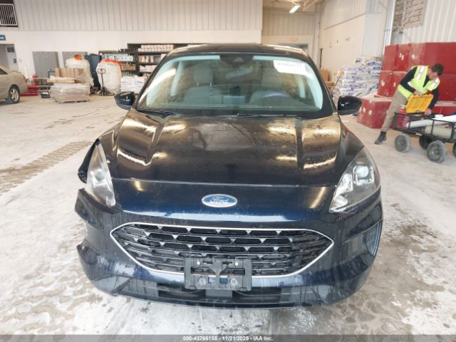 Ford Escape Se Image 9
