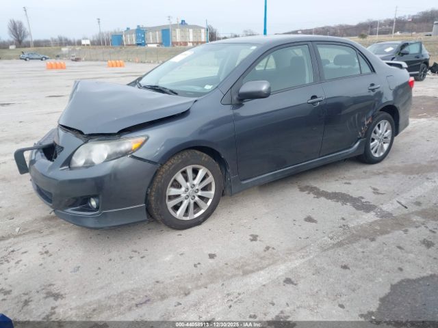 Toyota Corolla S Image 8