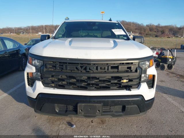 Chevrolet Silverado 1500 2wd  Standard Bed Wt Image 11