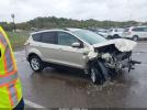 Ford Escape Se Image 10